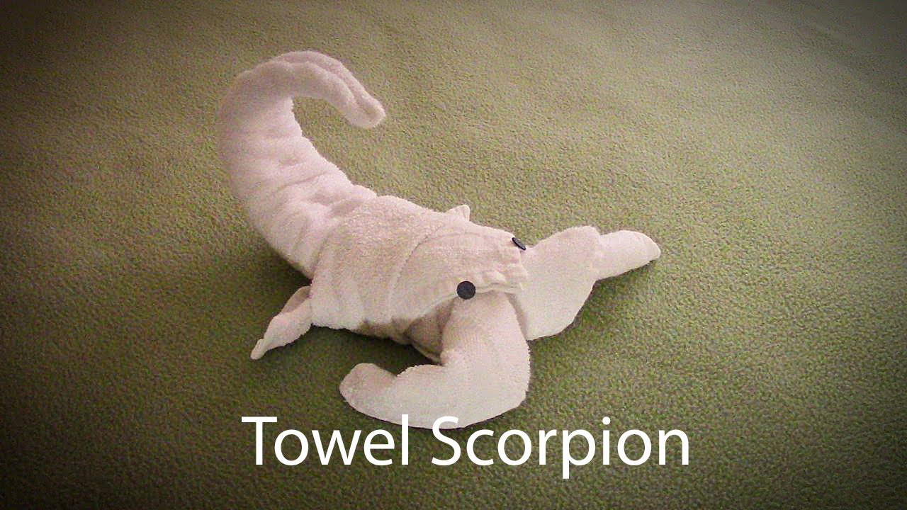 Towel Folding Scorpion | Towel Animal | Housekeeping Towel Folding Designs  | Towel Art - YouTube