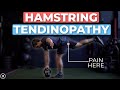 Proximal Hamstring Tendinopathy Rehab (4 Stages)