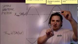 Simple Harmonic Motion Position Verses Acceleration
