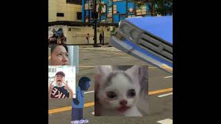 Bro Car Crashing Hit The Children