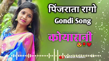 पिंजराता रागों Gondi Song || Trending Gondi Song || Pinjrata Ragi Dj Song #jimmystudio #gondisong