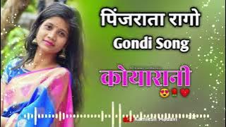 पिंजराता रागों Gondi Song || Trending Gondi Song || Pinjrata Ragi Dj Song #jimmystudio #gondisong