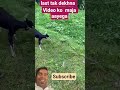 #funny #vikramcomedy #comedy ##rocky star ##viral ##video short...