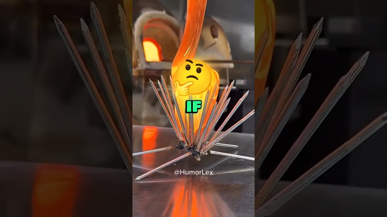 What Did He Do H1T1