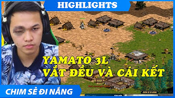 AOE HIGHLIGHTS | 3BL vắt đều Yamato đến từ Chim Sẻ. Đắng lòng cái kết cho...!
