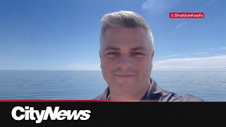 Sheldon Keefe responds to Leafs' firing him Content