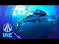 ORIGIN IAE 2024 DAY 8 | STAR CITIZEN