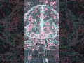 Your Brain Is More Complex Than the Universe! 🧠✨ #shorts