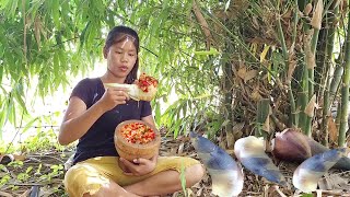 Eating fresh bamboo shoot with salt chili sauce - Adventure solo in forest