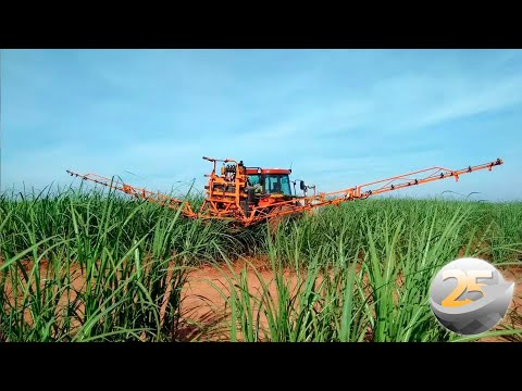 Entrevista com Ricardo Lopes - Diretor Agrícola da Raízen sobre a Raízen reduz uso de fertilizantes