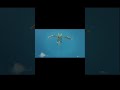 Green Plesioth Kinship Skill: Plesioth Splash #mhst3 l Like and Sub