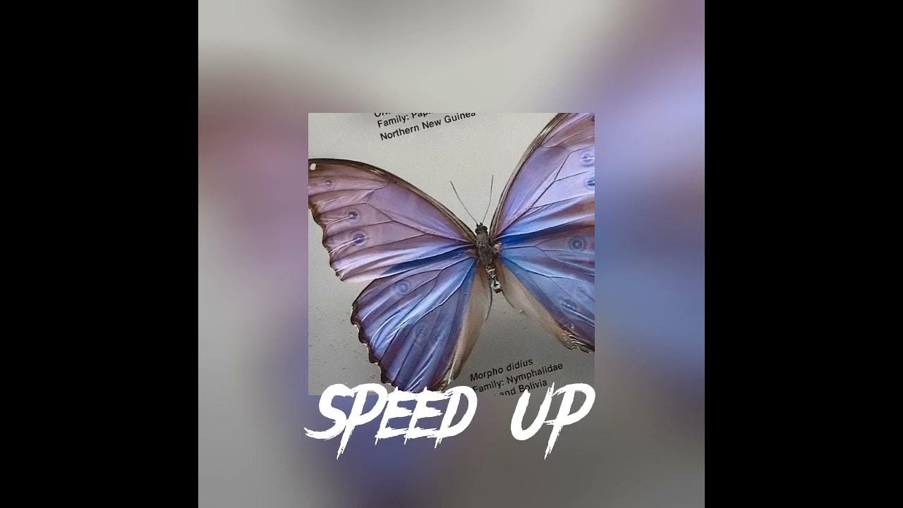 Глупая speed up