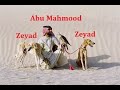 MTA.SA •~Default Freeroam~• ||P||  TMW|xYz Vs  [S7]ZeyaD 6-2 #part8