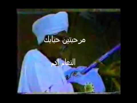 مرحبتين حبابك