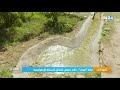 واحة تيوت ملاذ مفضل لعشاق السياحة الإيكولوجية واحة تيوت ملاذ مفضل لعشاق السياحة الإيكولوجية
