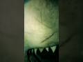 Terror a 47 metros: el segundo ataque #recomendaciones #peliculas #peliculasrecomendadas #tiburones