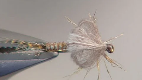 Legged Emerger fly tying video by Shane Stalcup