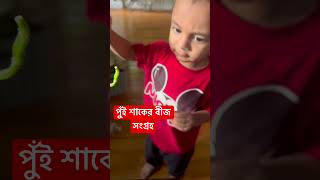 #পুঁইশাকের বীজ সংগ্রহ #greenthumb #indoorgardening #gardeningtips  #malabarspinach #nyc #usa #