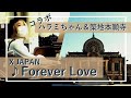 【ハラミちゃん＆築地本願寺パイプオルガン】X JAPAN「Forever Love」
