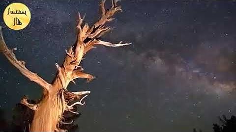 تلاوة خاشعه سورة يس