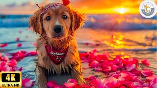 8 Hours 🎵 Healing Dog Music 🐶 Soothing Sounds for Deep Relaxation and Sleep With Piano Sound