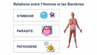 Le microbiote intestinal au service de notre santé