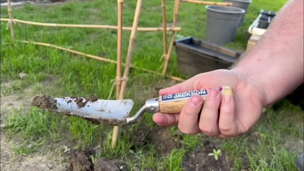 Best garden trowel and fork set YouTube
