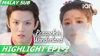 Mengembara melalui masa bertemu dengan anda💗 | Peacock in Wonderland 孔雀圣使请动心 EP1-2 | iQIYI Malaysia