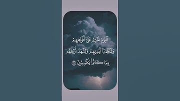 #تلاوات #اكسبلور #تلاوة_خاشعة #راحة_نفسية #القرآن_الكريم #لايك #تلاوة_هادئة #تيك_توك #تلاوات_خاشعة