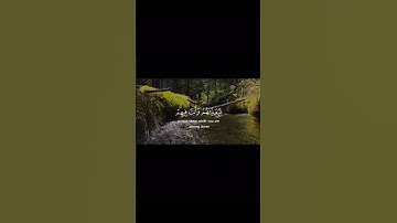 سورة الأنفال ||  #quran #قرآن_كريم #علي_جابر #راحة_نفسية #المصحف #اكسبلور #explore #edit