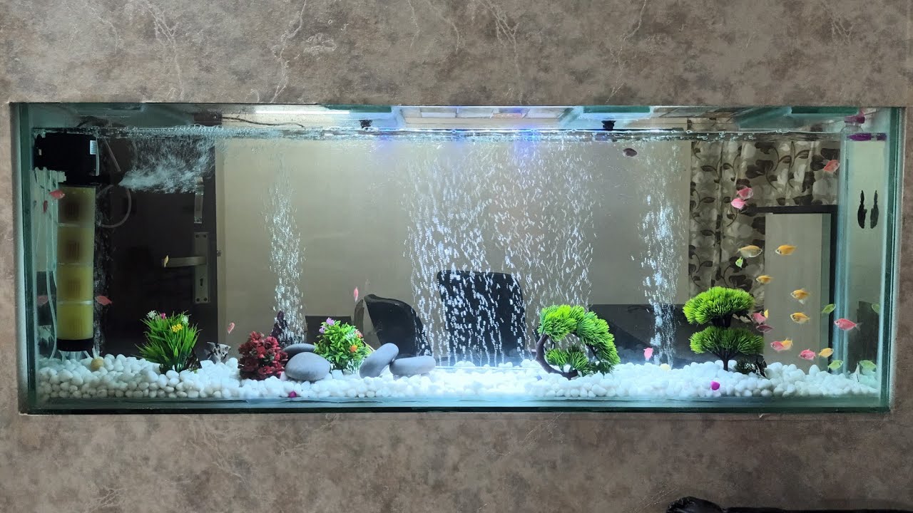 Image showcasing Aquarium | Widow Tetra Fish | Angel Fish | - YouTube
