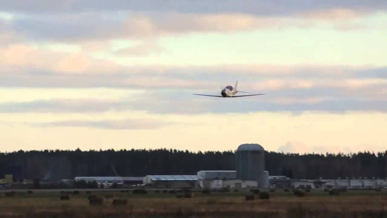 Tarragon flight YouTube