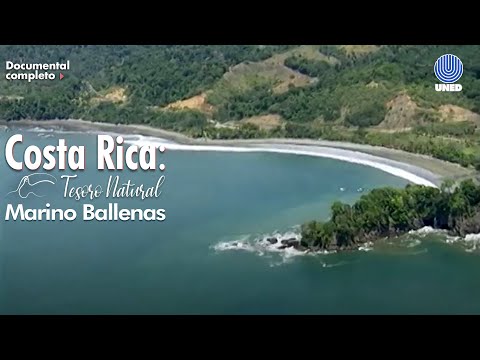 Tesoro Natural: Parque Nacional Marino Ballenas