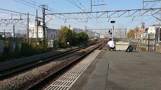 11月25日新川崎駅 新鶴見A65運用 8584レ のスジで単機回送する EF65-2139 ラストナンバー機