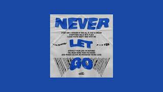 Jung Kook - Never Let Go (Official Audio) @NightlyDN