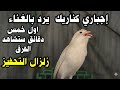 Powerful Canary Singing Training Make Your Canary Sing INSTANTLY mp3