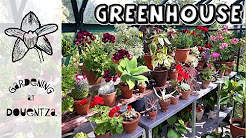 Greenhouse & House Plants