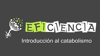INTRODUCTION TO CATABOLISM. Fermentation, Aerobic and Anaerobic Respiration