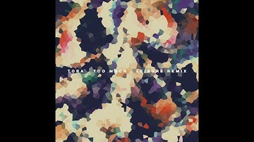 TORA - Too Much (LEISURE Remix) Official Audio