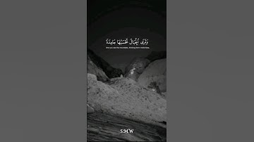 #سورة_النمل القارئ:عبد الرحمن مسعد🖤
