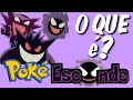 O QUE É POKEESCONDE? BRINCADEIRA DO CANAL SONJACKTECH