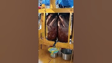 Hand Operated Sugarcane Juice Machine | Indian Street Food