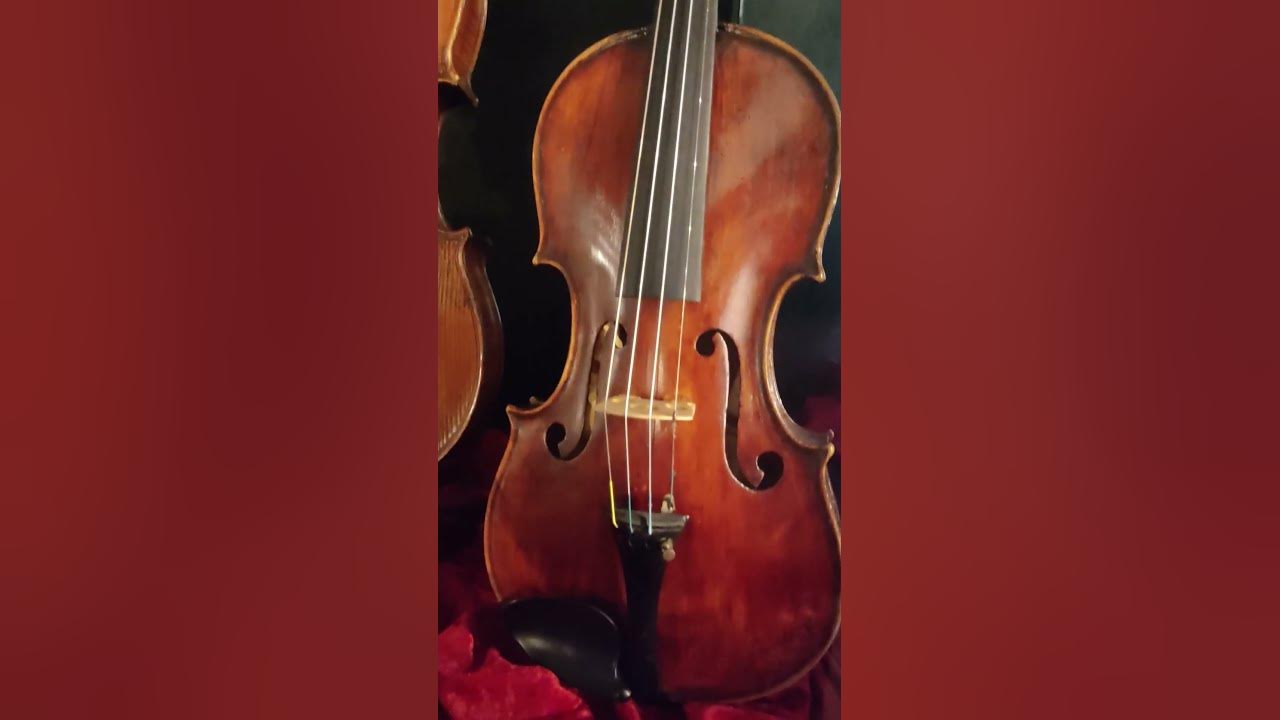 Violin by ettore siega violin by giulio ettore degani at the museo