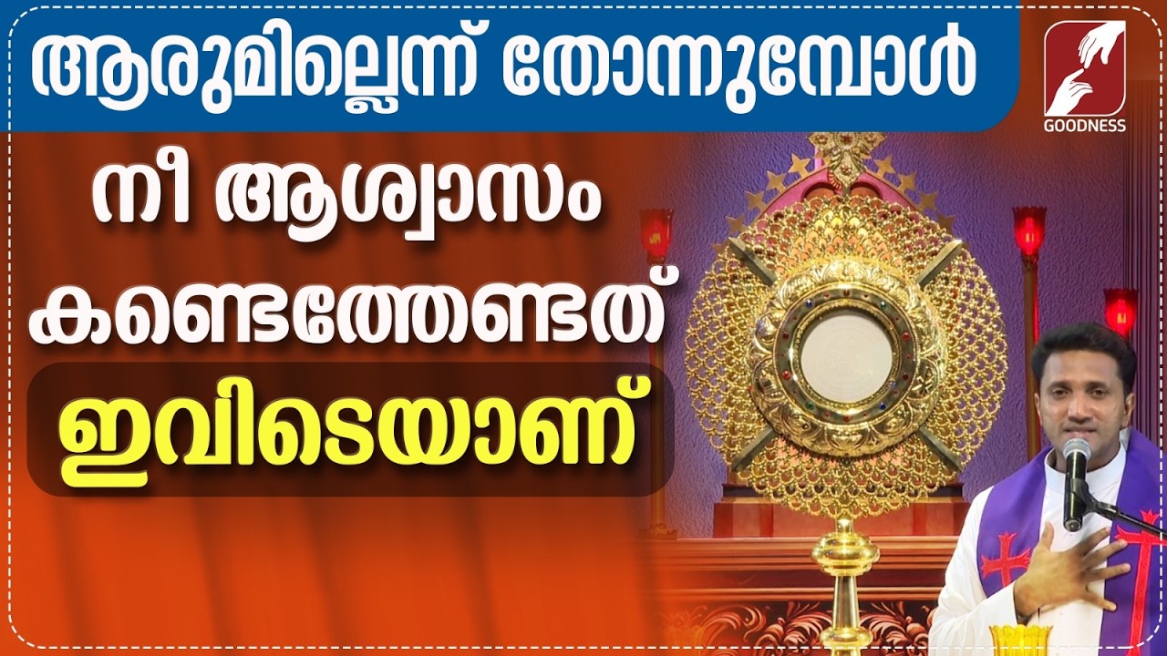 ആരുമില്ലെന്ന് തോന്നുമ്പോൾ നീ ആശ്വാസം കണ്ടെത്തേണ്ടത് | FR JINCE CHEENKALLEL | TALK | GOODNESS TV