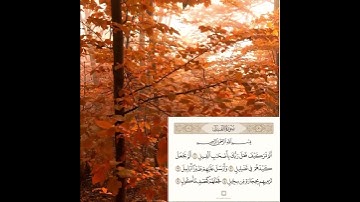 ✨ تلاوة من القرآن  #قرآن #تدبر #تلاوة #نور_القرآن #ذكر #اسلاميات