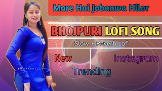 Mare Hai Jobanwa Hilor Lage ki Choli Fat Jaaye Re || Bhojpuri Lofi Song (Slow   Reverb Lofi)
