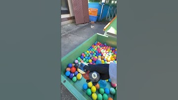 Marble Run (Funnel & Wooden Course) #11 #ASMR