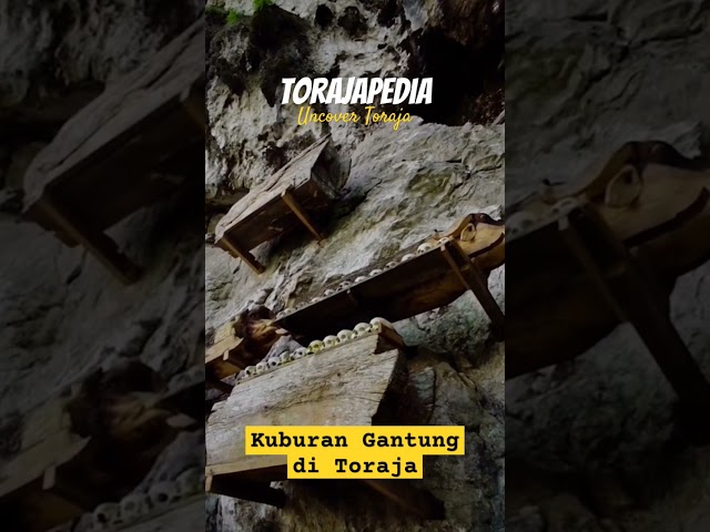 The Hanging Graves of Toraja  #shorts #torajapedia #torajaunik #budayatoraja #tanatoraja class=