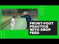 Cricket batting drills for beginners frontfoot practice with drop feed