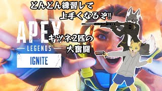 キツネコンビが挑む！　APEX配信